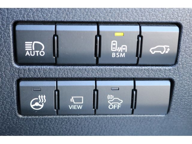 TOYOTA LEXUS NX300h 2019