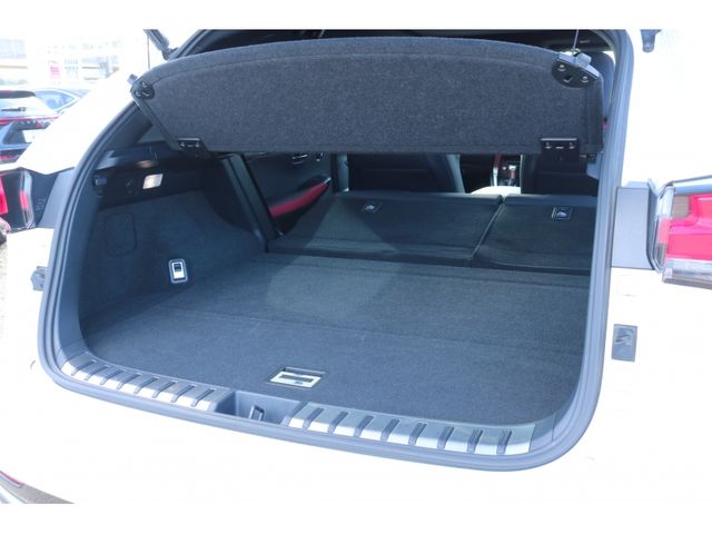 TOYOTA LEXUS NX300h 2019