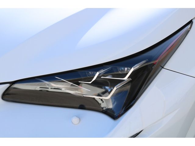 TOYOTA LEXUS NX300h 2019