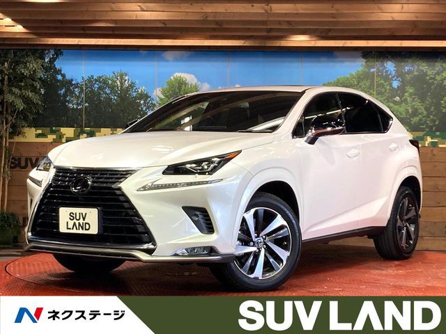 TOYOTA LEXUS NX300 2020