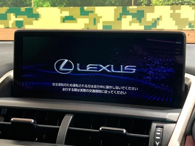 TOYOTA LEXUS NX300 2020