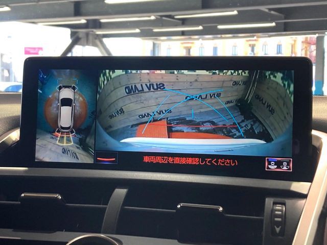 TOYOTA LEXUS NX300 2020