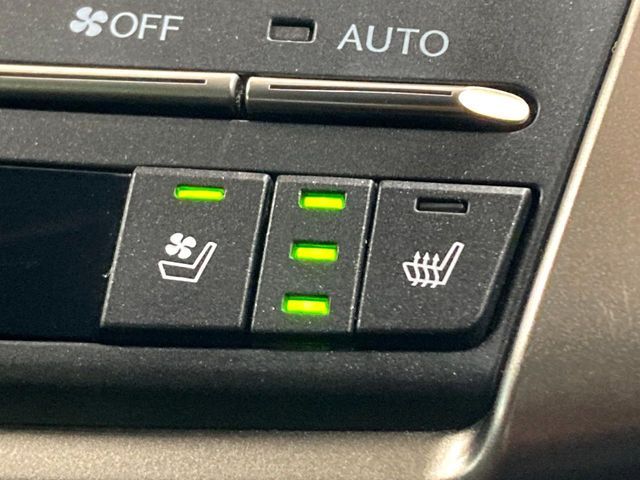 TOYOTA LEXUS NX300 2020