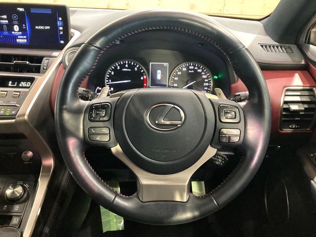 TOYOTA LEXUS NX300 2020