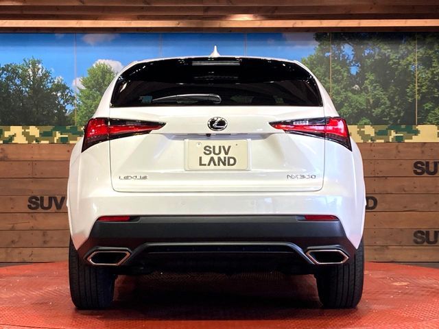 TOYOTA LEXUS NX300 2020