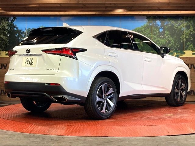 TOYOTA LEXUS NX300 2020