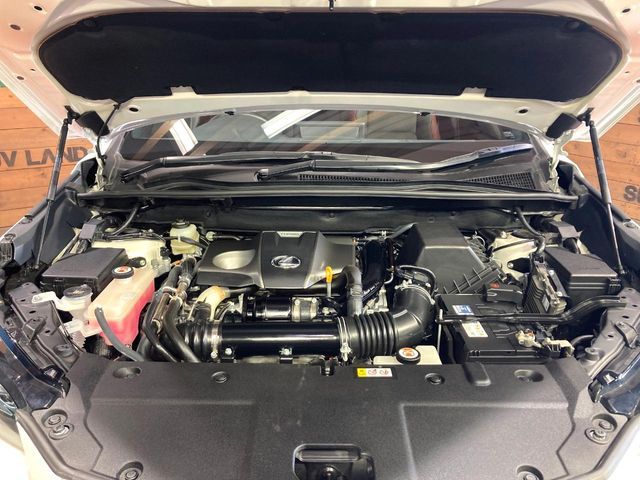 TOYOTA LEXUS NX300 2020