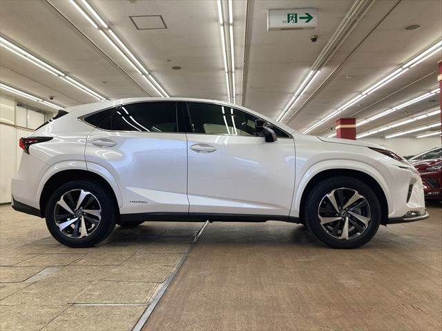 TOYOTA LEXUS NX300h 2020