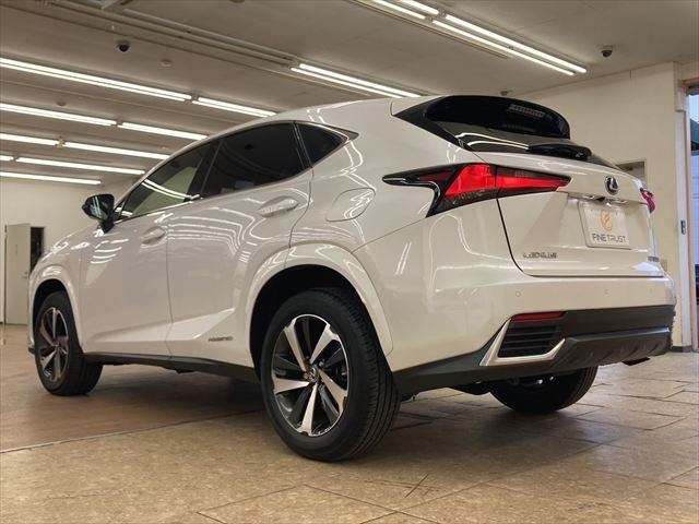 TOYOTA LEXUS NX300h 2020
