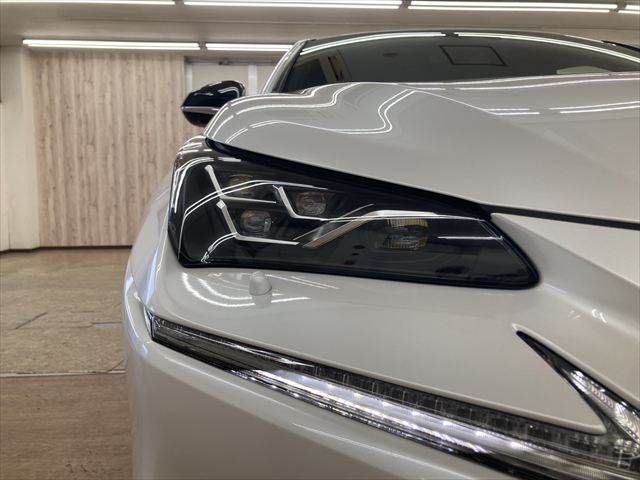 TOYOTA LEXUS NX300h 2020