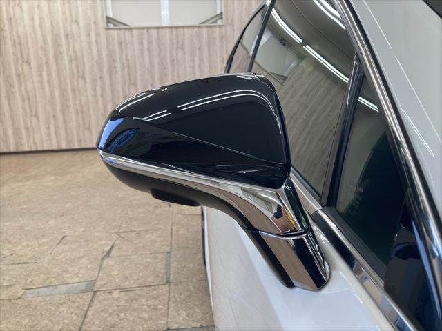 TOYOTA LEXUS NX300h 2020