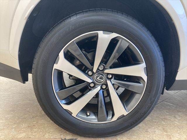 TOYOTA LEXUS NX300h 2020