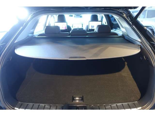 TOYOTA LEXUS RX300 AWD 2019