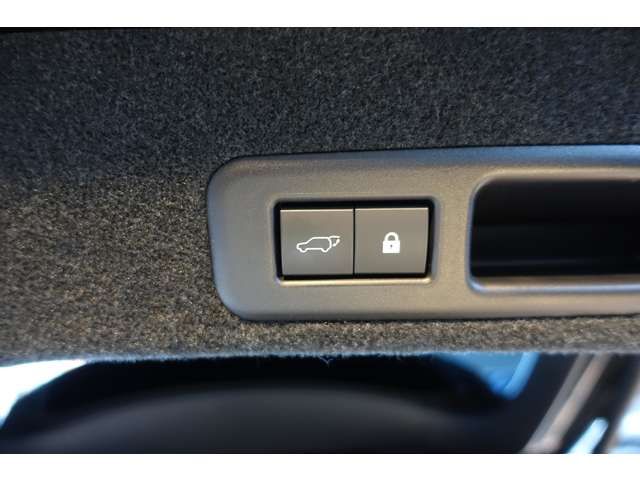 TOYOTA LEXUS RX300 AWD 2019