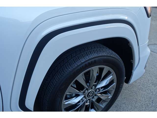 TOYOTA LANDCRUISER wagon 2024