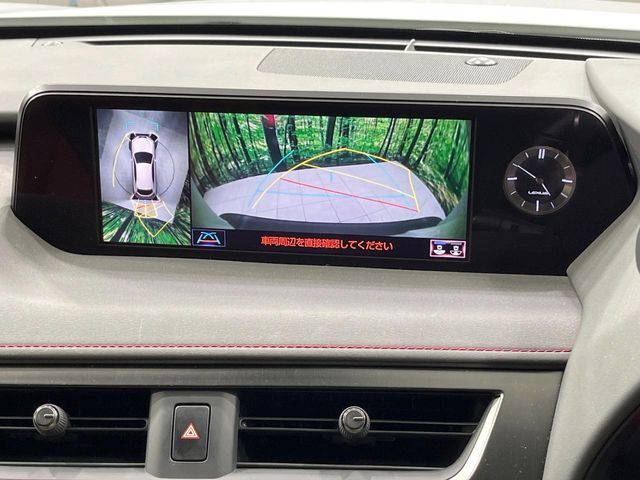 TOYOTA LEXUS UX250h 2019