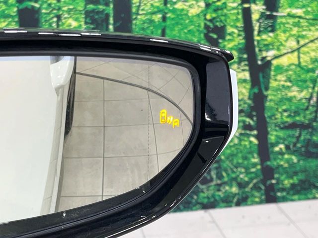 TOYOTA LEXUS UX250h 2019