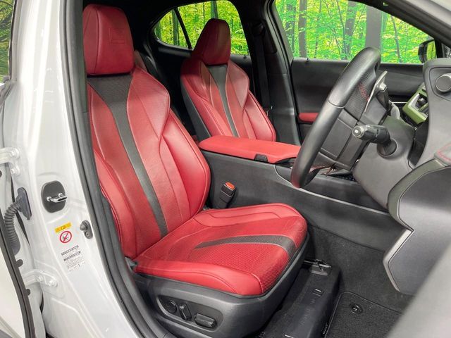 TOYOTA LEXUS UX250h 2019