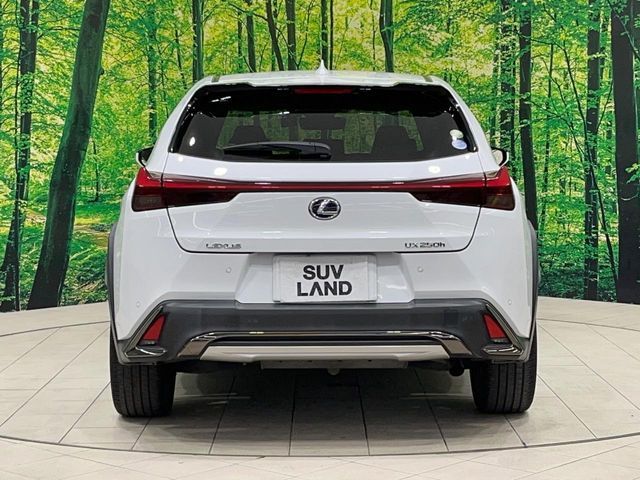 TOYOTA LEXUS UX250h 2019