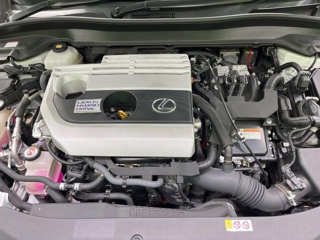 TOYOTA LEXUS UX250h 2019