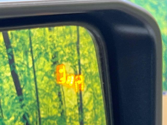 TOYOTA LANDCRUISER 250 2024