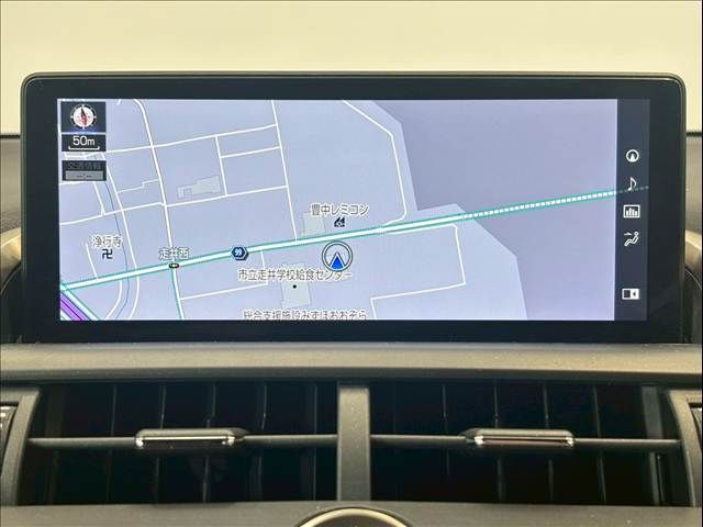 TOYOTA LEXUS NX300h 2019