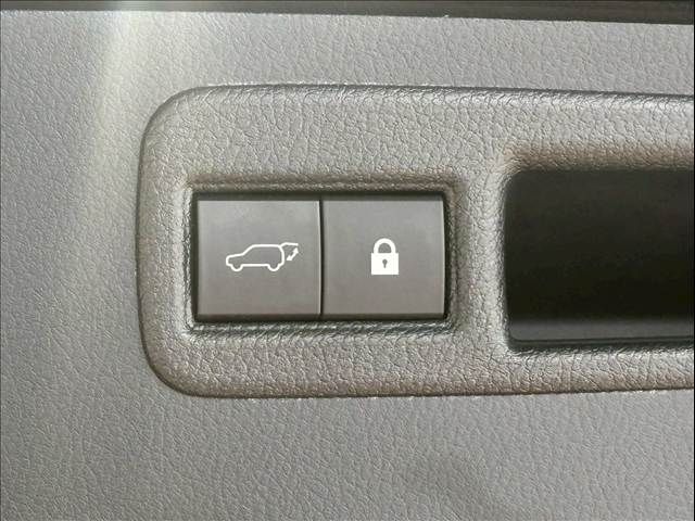 TOYOTA LEXUS NX300h 2019