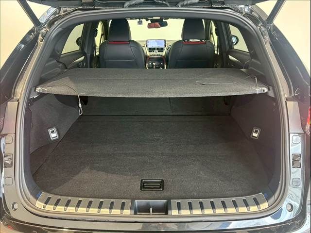 TOYOTA LEXUS NX300h 2019