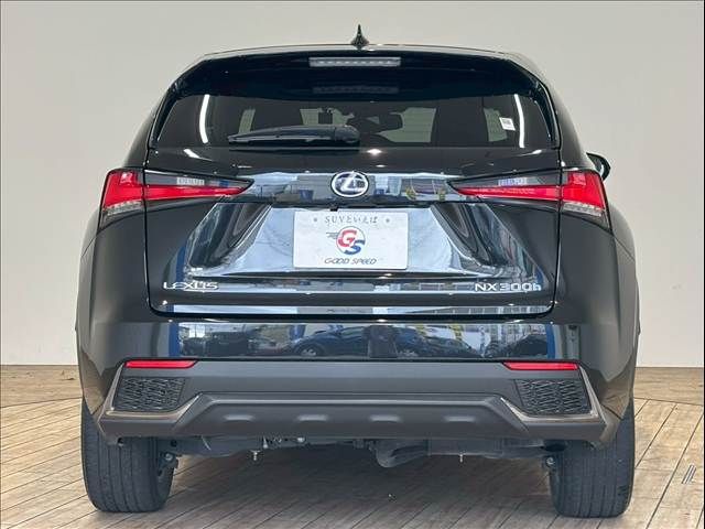 TOYOTA LEXUS NX300h 2019