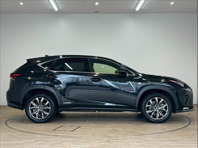 TOYOTA LEXUS NX300h 2019