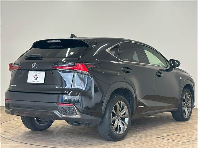 TOYOTA LEXUS NX300h 2019