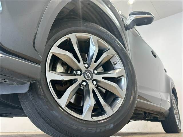 TOYOTA LEXUS NX300h 2019