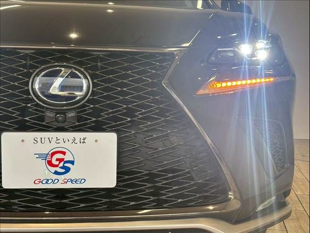 TOYOTA LEXUS NX300h 2019