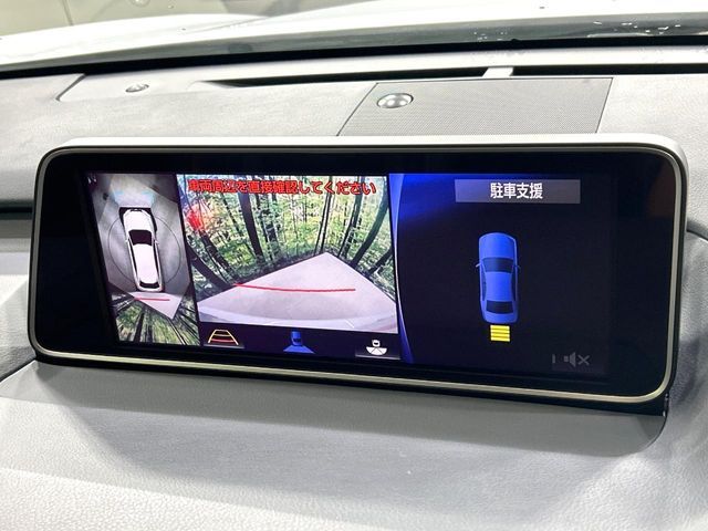 TOYOTA LEXUS RX200t 2016