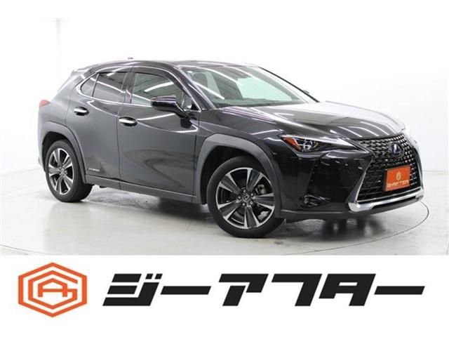 TOYOTA LEXUS UX250h 2019