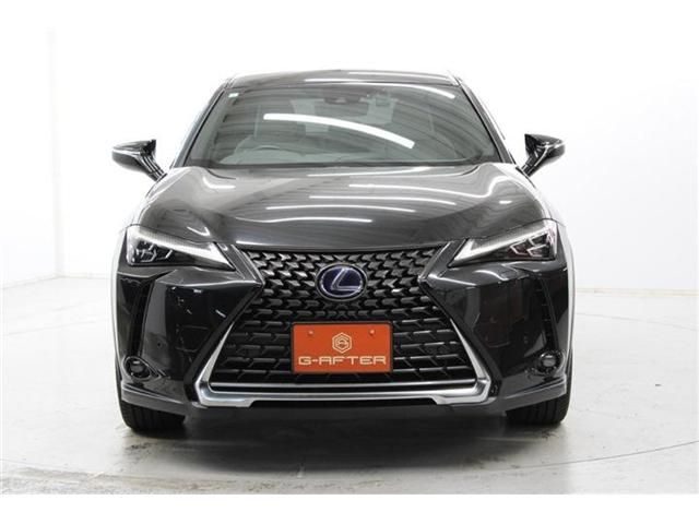 TOYOTA LEXUS UX250h 2019