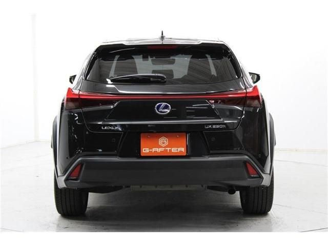 TOYOTA LEXUS UX250h 2019