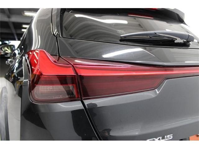 TOYOTA LEXUS UX250h 2019