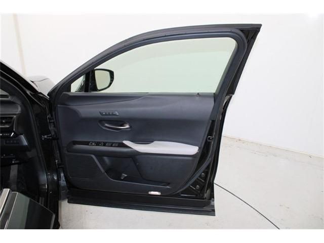 TOYOTA LEXUS UX250h 2019