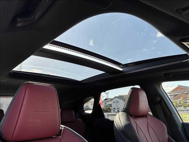 TOYOTA LEXUS RX500h 2024