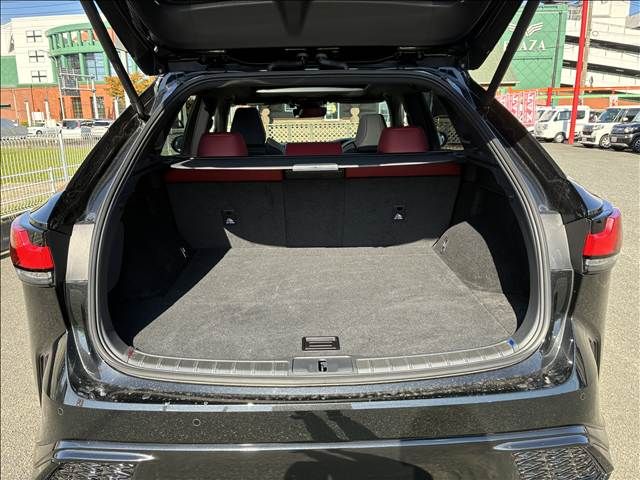 TOYOTA LEXUS RX500h 2024