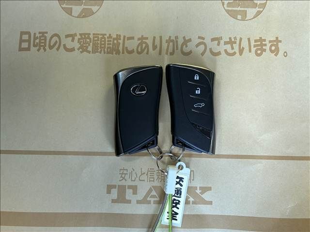 TOYOTA LEXUS RX500h 2024