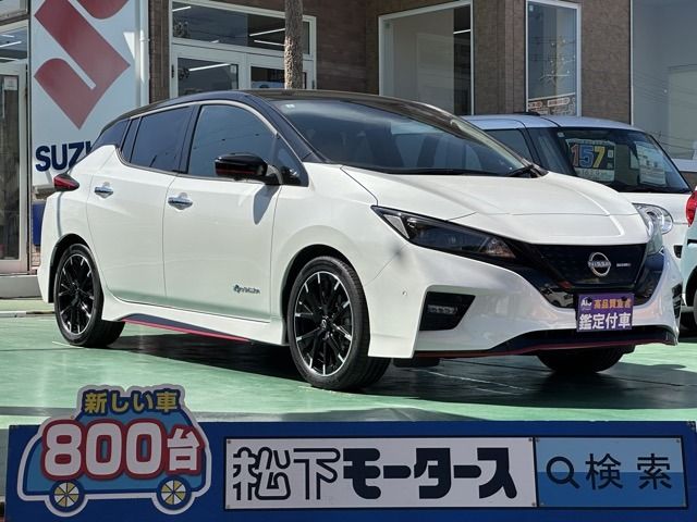 NISSAN LEAF 2024