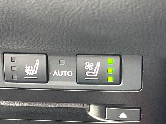 TOYOTA LEXUS ES300h 2019