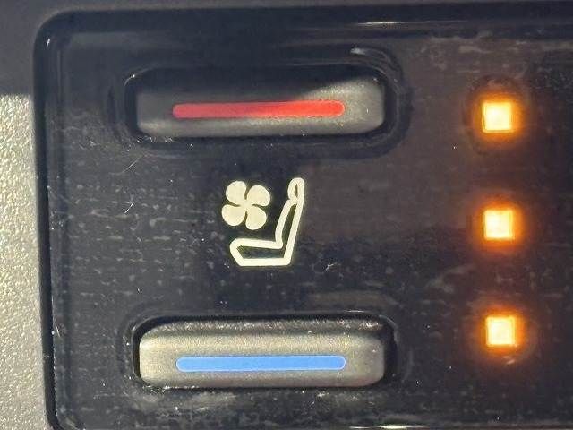 TOYOTA RAV4 4WD 2023