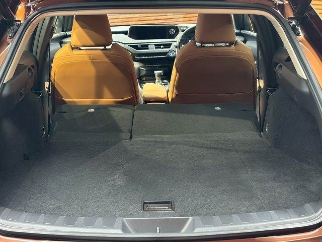 TOYOTA LEXUS UX250h 2020