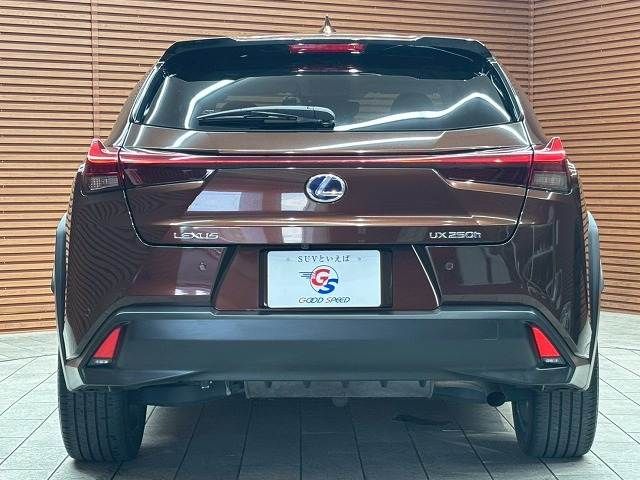 TOYOTA LEXUS UX250h 2020