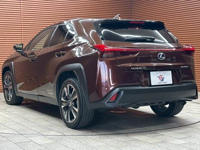 TOYOTA LEXUS UX250h 2020