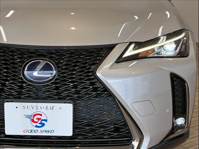 TOYOTA LEXUS UX250h 2020