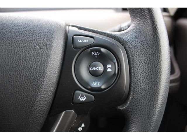 HONDA FREED plus HYBRID 2023